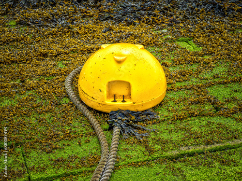 Yellow Float and Rope in Hansweert, Netherlands photo