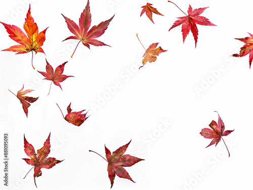 Wallpaper Mural autumn leaves background Torontodigital.ca