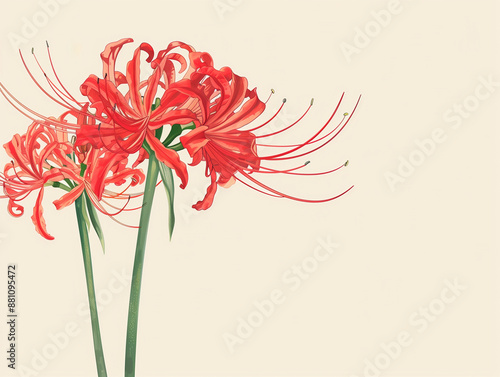 flower background