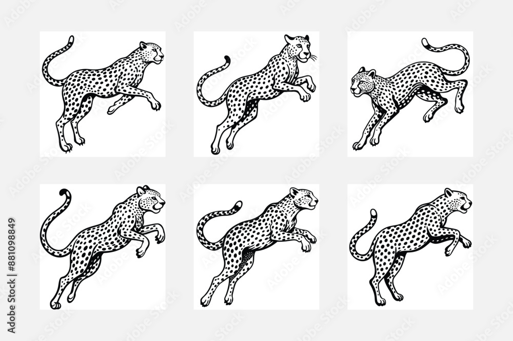 Obraz premium Wild set of animals