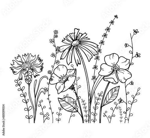 Hand drawn flowers, summer composition with cornflower, poppy, blades of grass and other wild flowers. Freehand drawing in doodle style