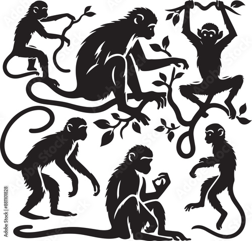 Photography black and white illustration of a monkey