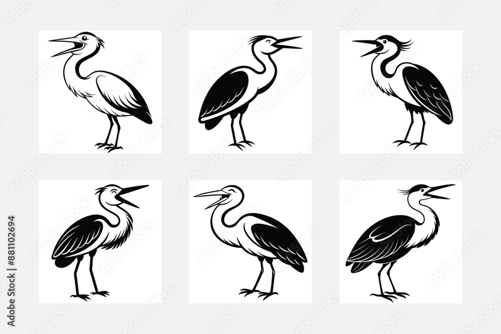 Fototapeta premium set of birds