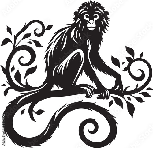 Photography black and white background of a monkey