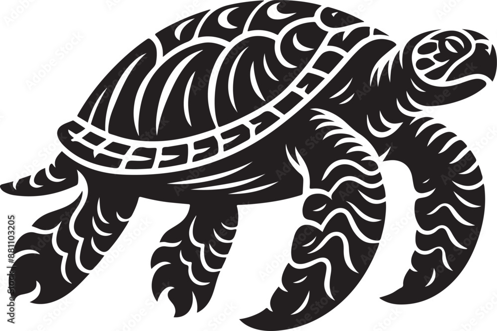 turtle on a white