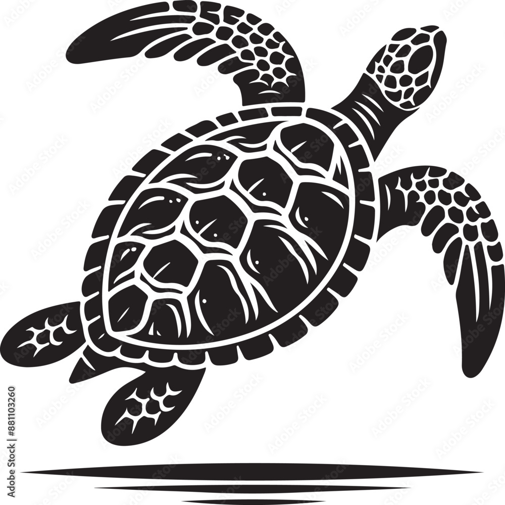 Fototapeta premium illustration of turtle