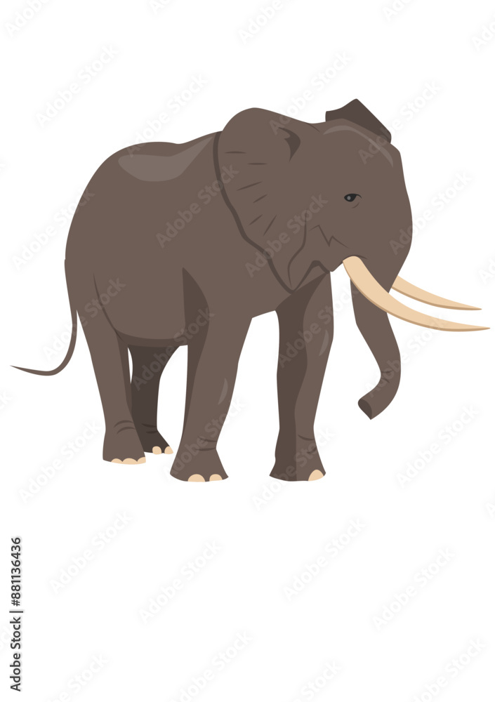 Obraz premium Animals