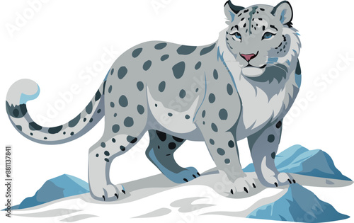 Snow leopard standing on a rocky surface