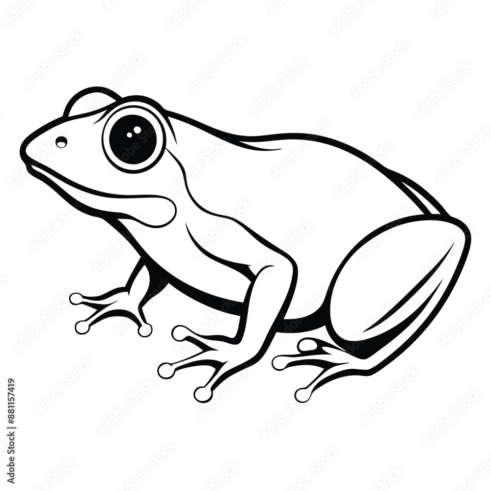 frog line art, isolated on a white background frog line art, isolated on a white background