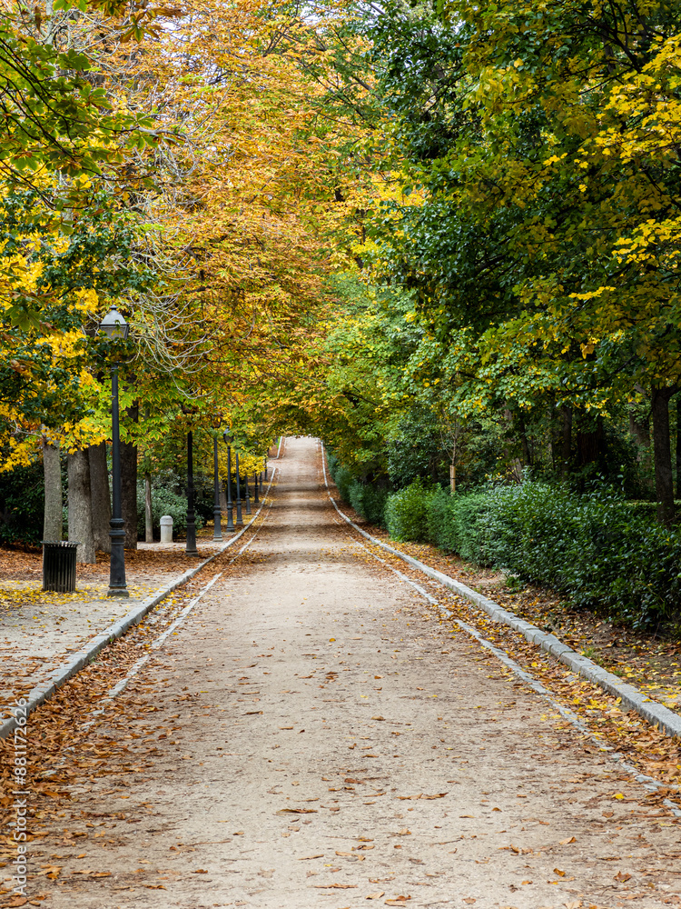 Autumn colours in Buen Retiro Park, Madrid, Spain. Autumn colours in Buen Retiro Park, Madrid, Spain.
