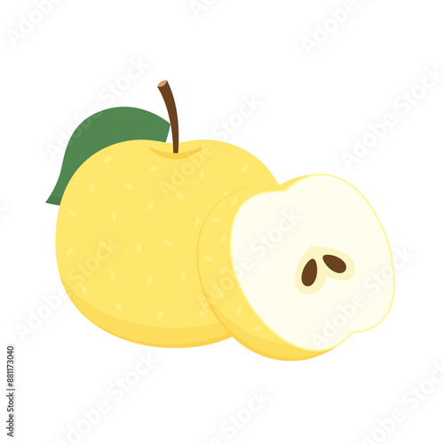 Asian pear whole fruit and half isolated on white background. Vector illustration of tropical exotic fruits in flat style.