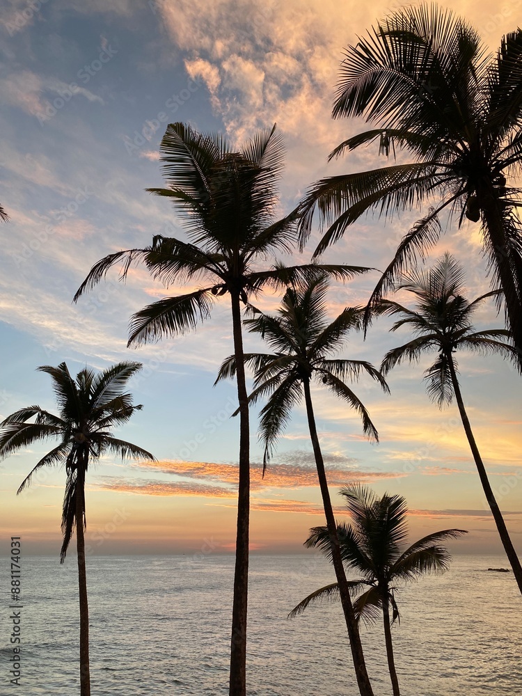 Fototapeta premium sunset on the beach