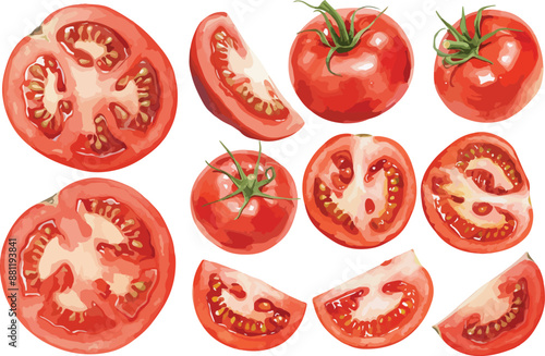 tomato slice watercolor clipart