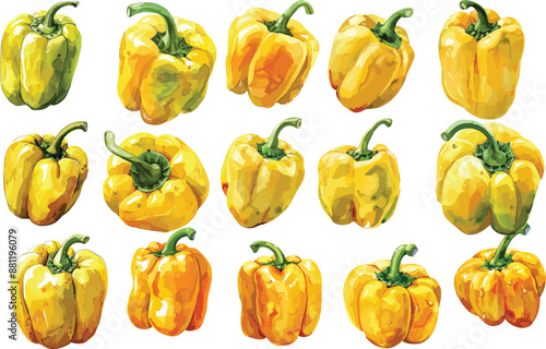 bell pepper watercolor clipart