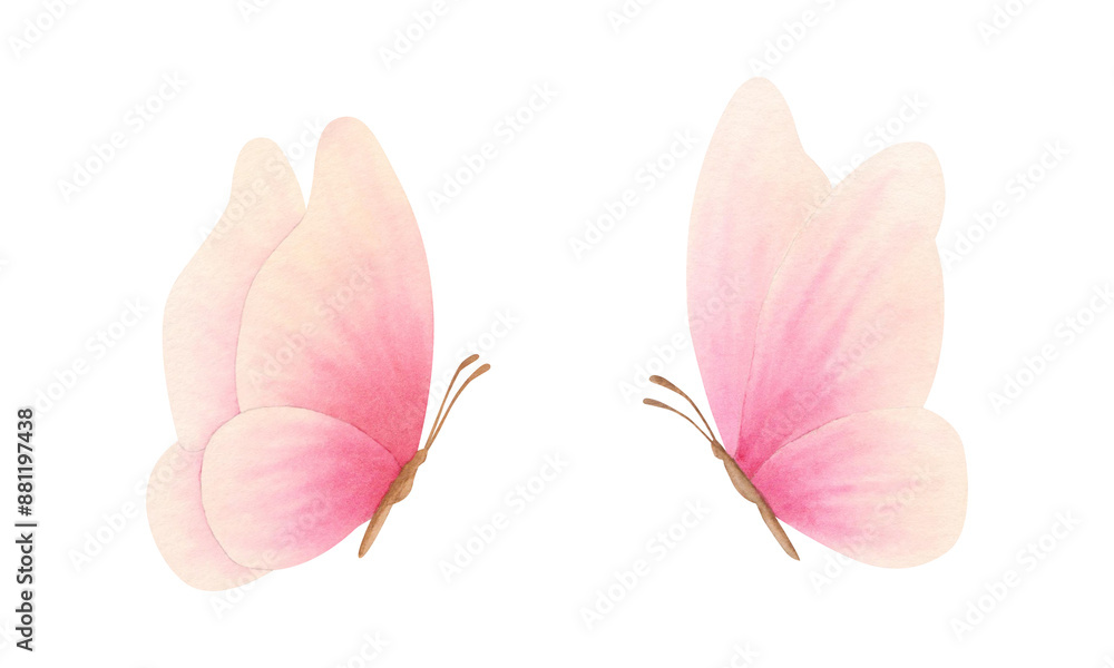 Set of pink, coral, peach fuzz, orange, delicate colors butterfly on isolated background. Hand drawn watercolor illustration. Clipart for design, cards, invitations, congratulations, packaging, print Set of pink, coral, peach fuzz, orange, delicate colors butterfly on isolated background. Hand drawn watercolor illustration. Clipart for design, cards, invitations, congratulations, packaging, print