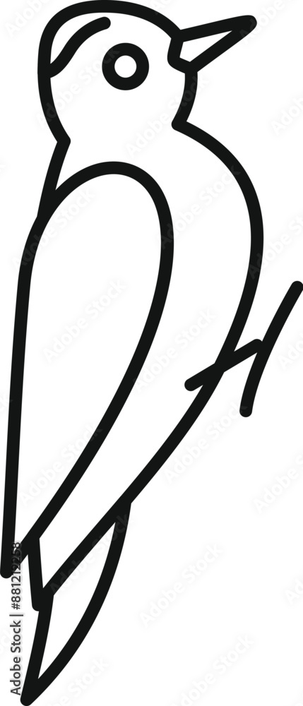 Simple line drawing of a woodpecker bird standing and looking to the right Simple line drawing of a woodpecker bird standing and looking to the right