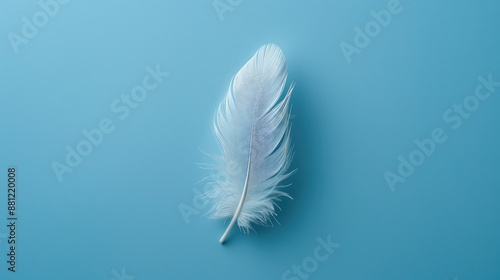 Serene Feather on Blue Background