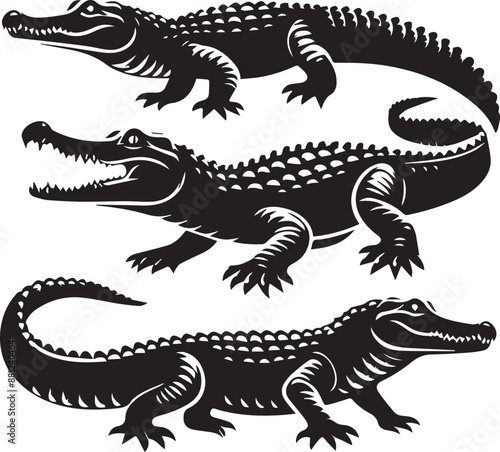 crocodile in a black