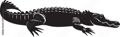 crocodile in a black