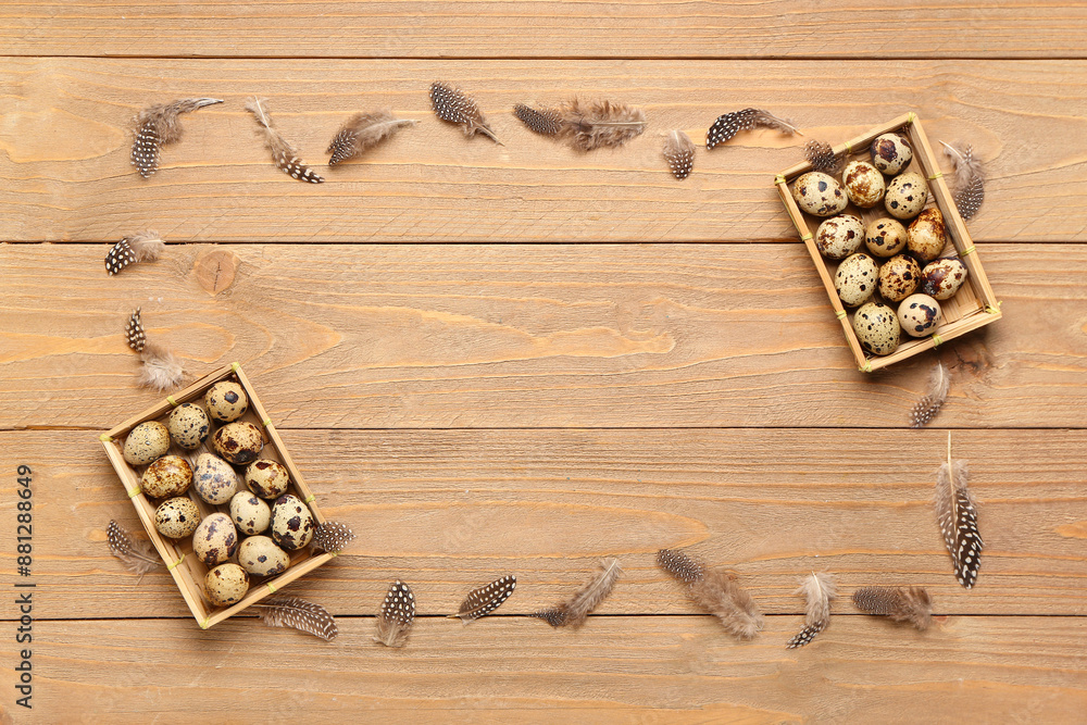 Frame made of boxes with fresh quail eggs and feathers on wooden background Frame made of boxes with fresh quail eggs and feathers on wooden background