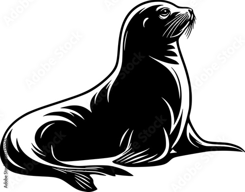 sea lion vector illustration