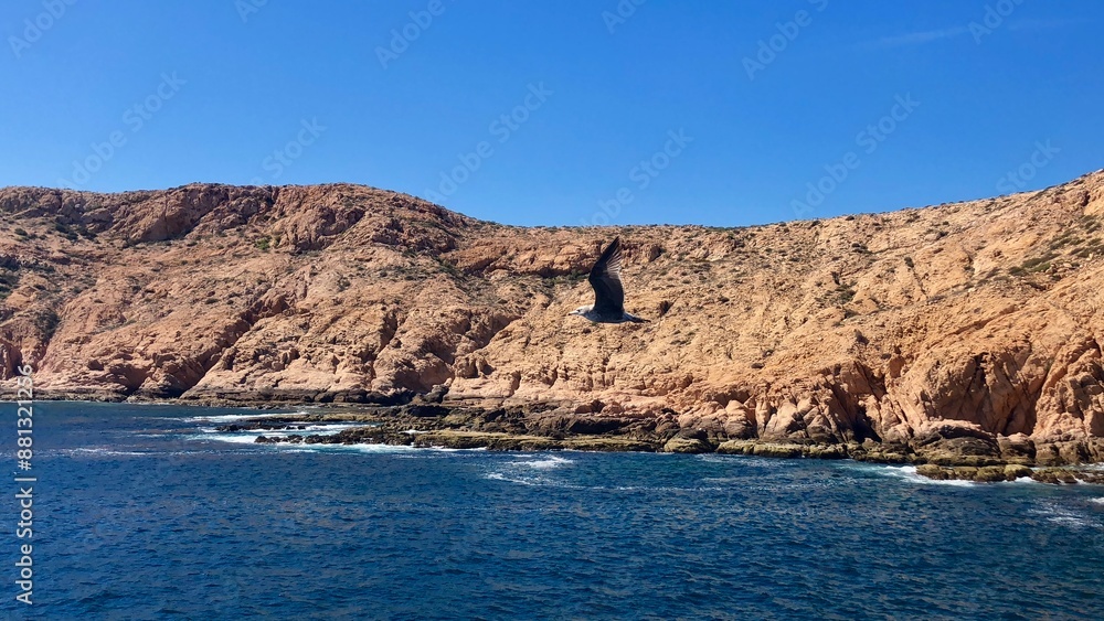 Bird Flying On Front Of Rock Formations In Sea Against Clear Blue Sky Bird Flying On Front Of Rock Formations In Sea Against Clear Blue Sky