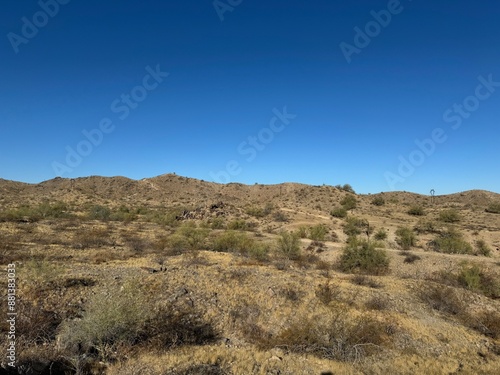 Desert landscape