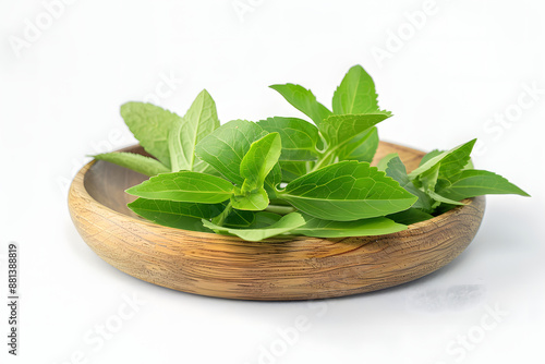 Fresh Stevia leaves (Stevia rebaudiana Bertoni) on wooden plate, isolated on white background photo