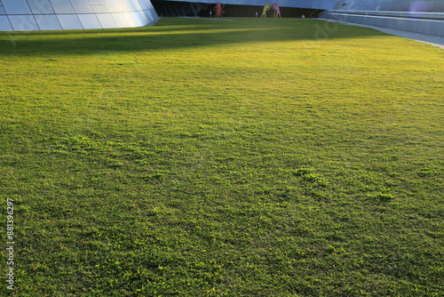 Eulji-ro, Jung-gu, Seoul, South Korea - June 16, 2023: Summer and afternoon view of light and shadow on the grass against wall of Dongdaemun Design Plaza
 photo