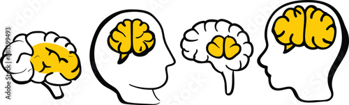 Brain organ design set, outline, solid and colored, simple style to complement data and research, editable vector eps 10. Ai generate 