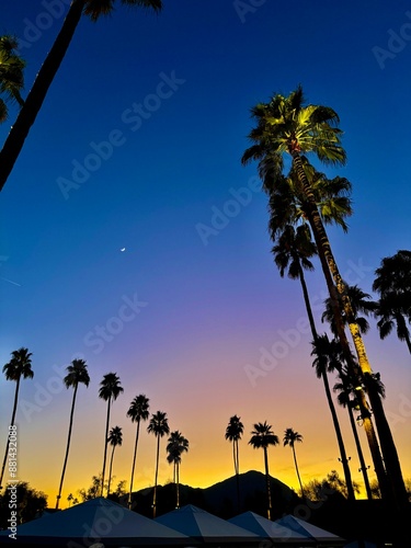 sunset with palm trees and the moon on a perfectly clear night 