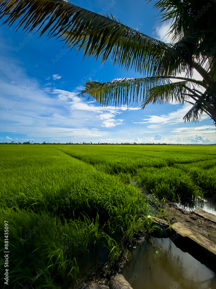 Very beautiful scenery in the hometown. Village at Kodiang Kedah, Malaysia. Very beautiful scenery in the hometown. Village at Kodiang Kedah, Malaysia.