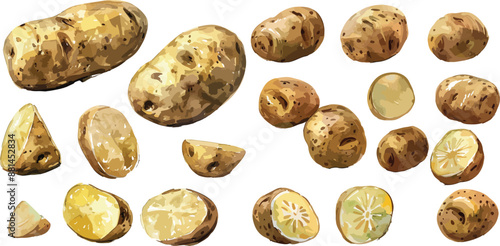 potato watercolor clipart