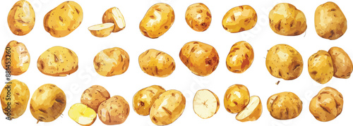 potato watercolor clipart