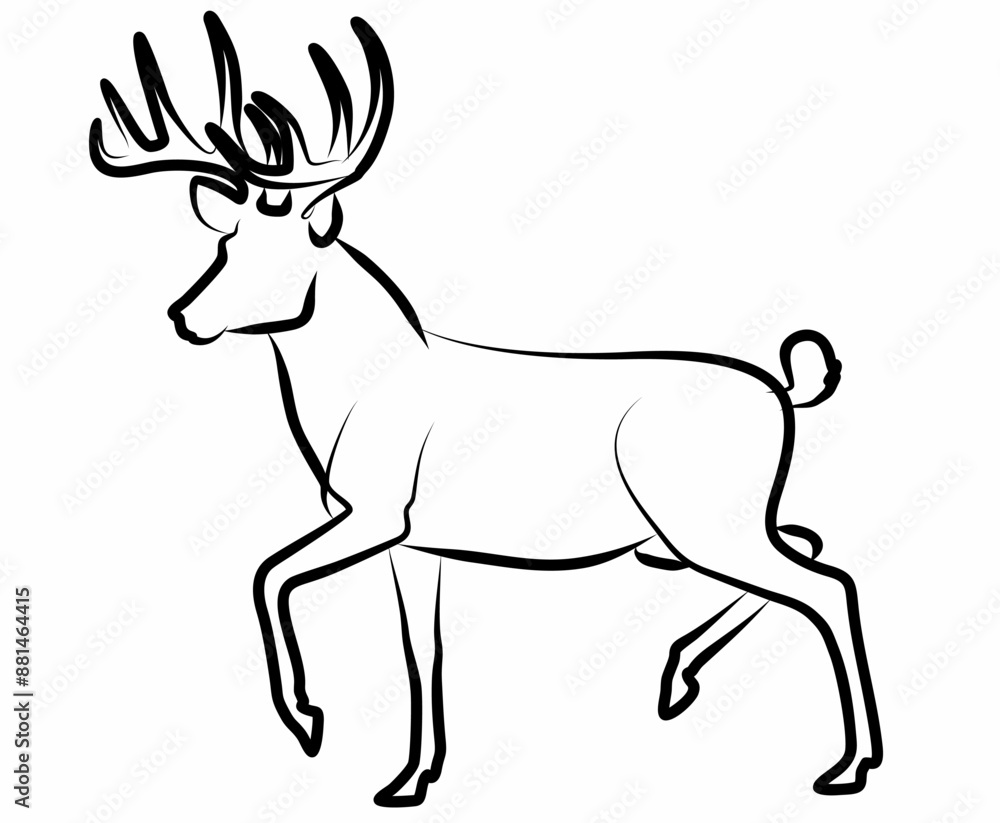 Deer vector, line drawing side view illustration isolated on white background Deer vector, line drawing side view illustration isolated on white background