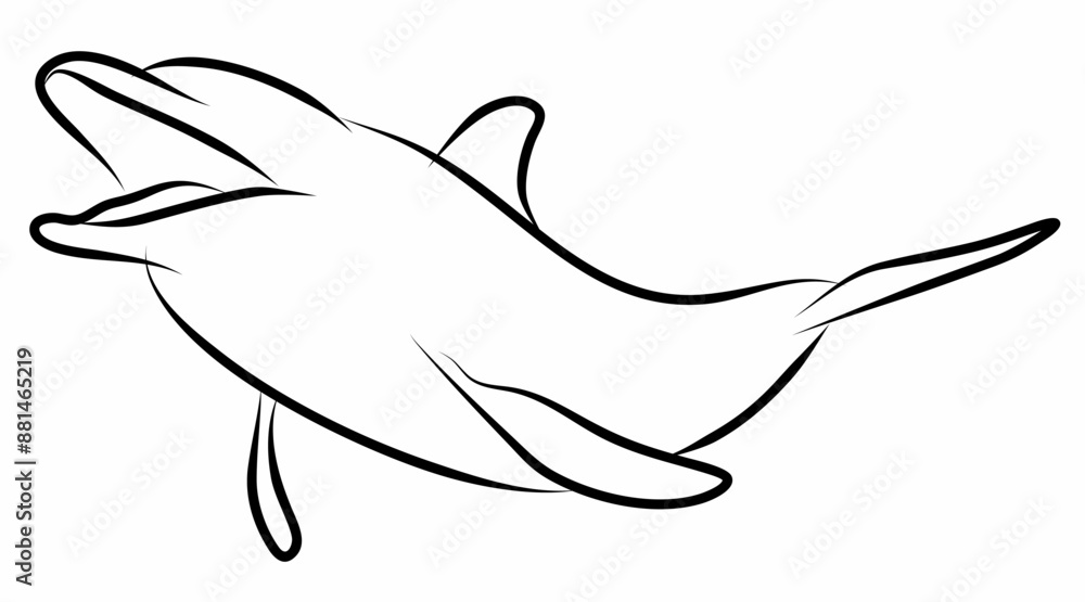 Dolphin vector, line drawing side view illustration isolated on white background Dolphin vector, line drawing side view illustration isolated on white background