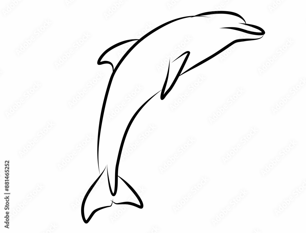 Dolphin vector, line drawing side view illustration isolated on white background Dolphin vector, line drawing side view illustration isolated on white background