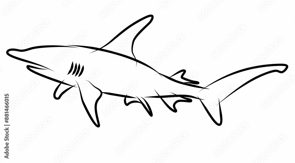 Fototapeta premium Shark vector, line drawing side view illustration isolated on white background