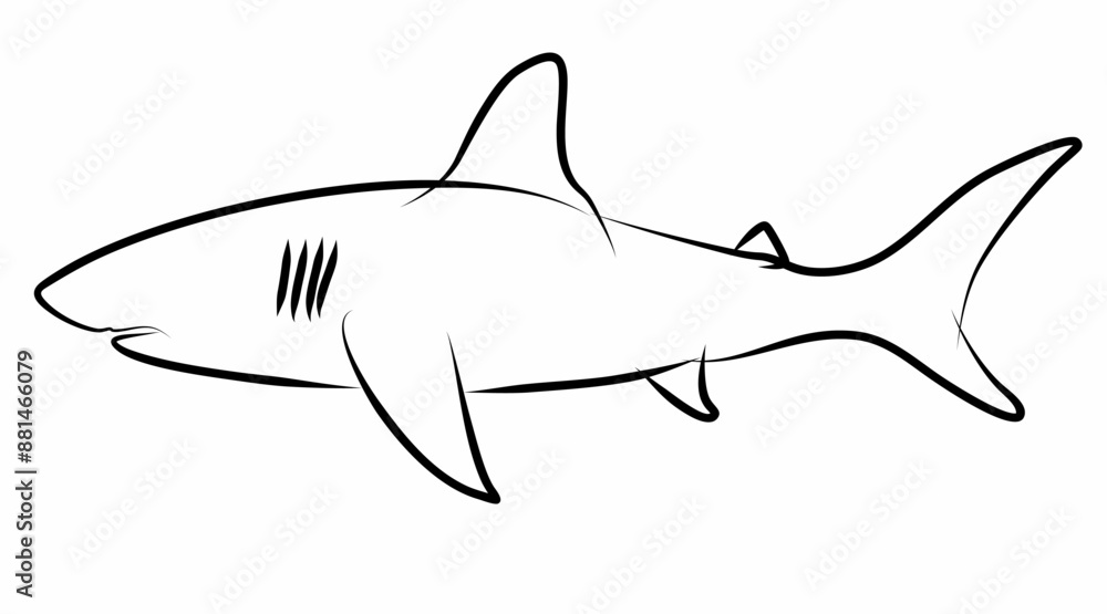 Fototapeta premium Shark vector, line drawing side view illustration isolated on white background