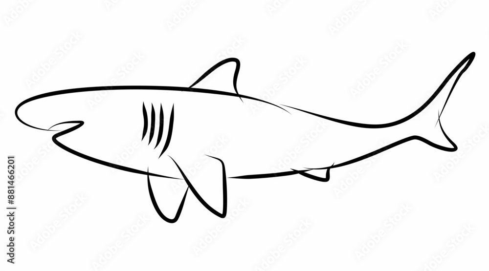 Fototapeta premium Shark vector, line drawing side view illustration isolated on white background
