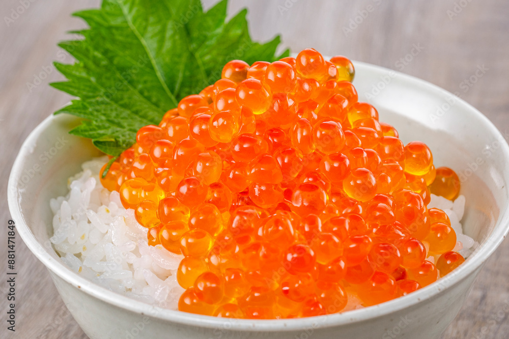ご飯にイクラをたっぷりのせて食べる ご飯にイクラをたっぷりのせて食べる