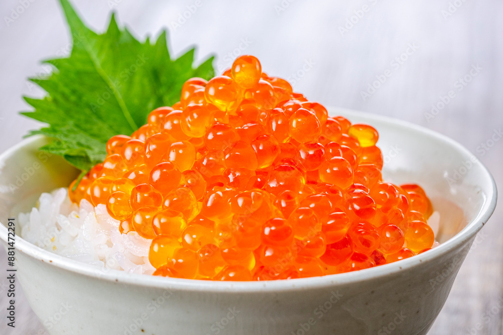 ご飯にイクラをたっぷりのせて食べる ご飯にイクラをたっぷりのせて食べる