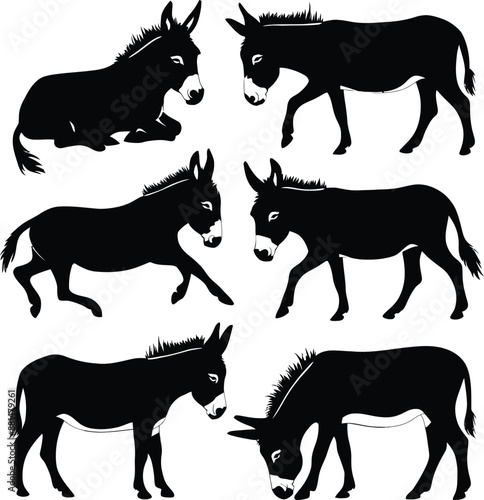 Donkey silhouette vector illustration set collection black on white background