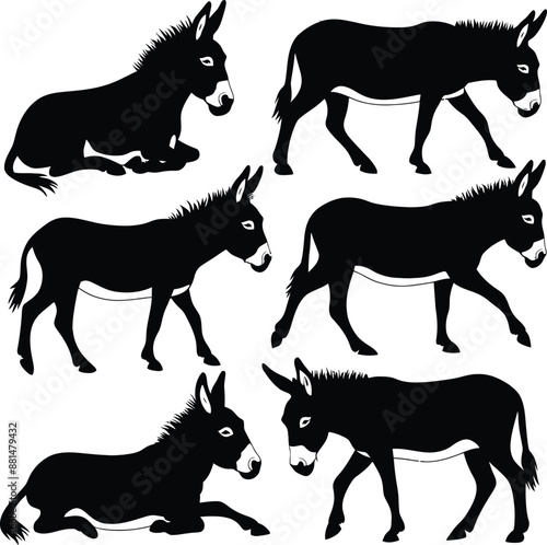 Donkey silhouette vector illustration set collection black on white background