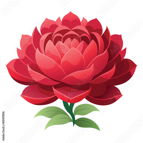 A solitary red peony against a white backdrop