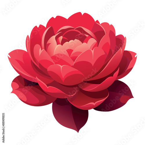 A solitary red peony against a white backdrop