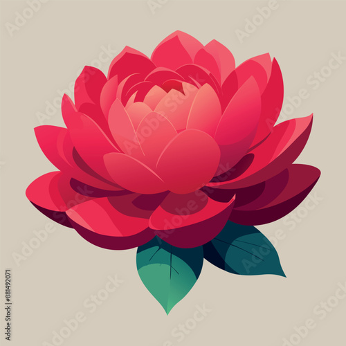 A solitary red peony against a white backdrop