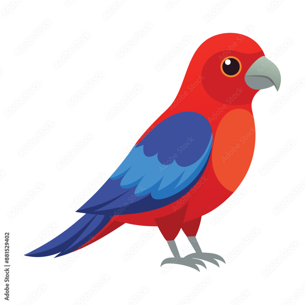Obraz premium Illustration of Crimson Rosella Isolated