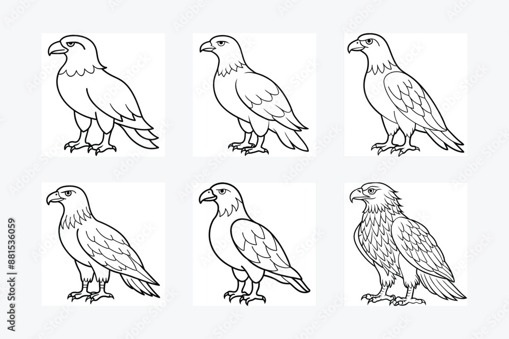 Fototapeta premium Golden Eagle full body vector illustrator, Hawk black icon, Hawk silhouette.