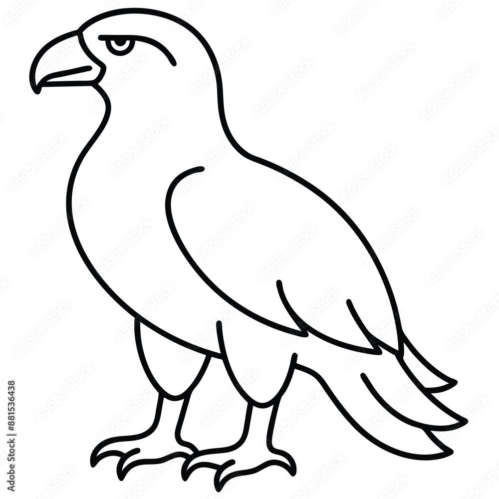 Golden Eagle full body vector illustrator, Hawk black icon, Hawk silhouette. Golden Eagle full body vector illustrator, Hawk black icon, Hawk silhouette.
